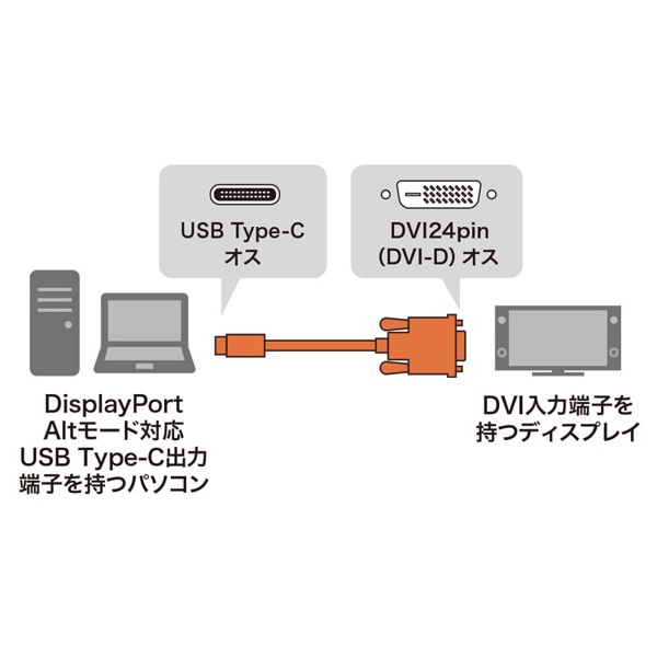 サンワサプライ TypeC-DVI変換ケーブル3m 3m KC-ALCDVA30 1個（ご注文単位1個）【直送品】