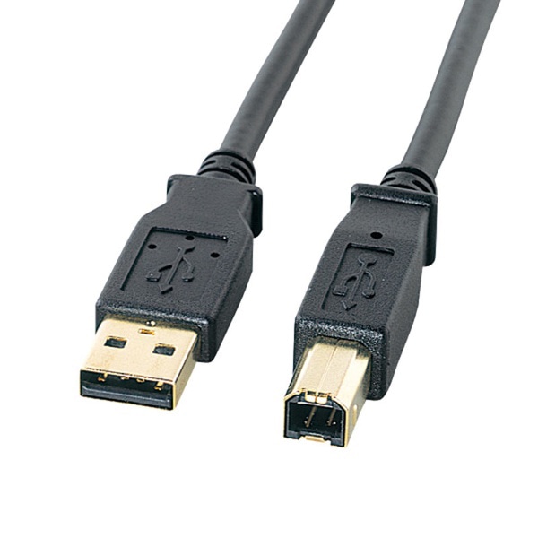 サンワサプライ USB2.0ケーブル 金メッキコネクタ 1m ブラック KU20-1BKHK2 1個（ご注文単位1個）【直送品】