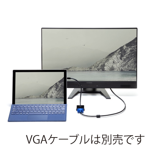 サンワサプライ ミニDisplayPort-VGA 変換アダプタ AD-MDPV02 1個(ご注文単位1個)【直送品】
