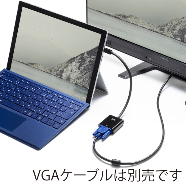 サンワサプライ ミニDisplayPort-VGA 変換アダプタ AD-MDPV02 1個(ご注文単位1個)【直送品】