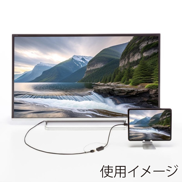 サンワサプライ ケーブル・アダプタ連結用ワイヤー 5個入 CA-516 1個(ご注文単位1個)【直送品】