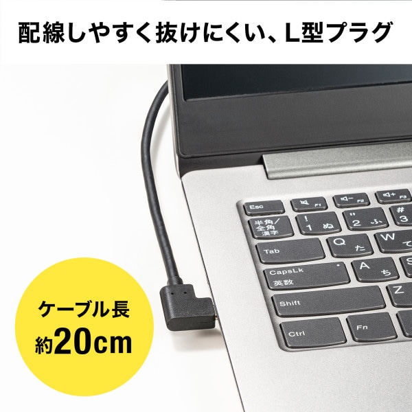 サンワサプライ USB TypeC(L型)-HDMI 変換アダプタ 4K/30Hz AD-ALCHD02L 1個(ご注文単位1個)【直送品】