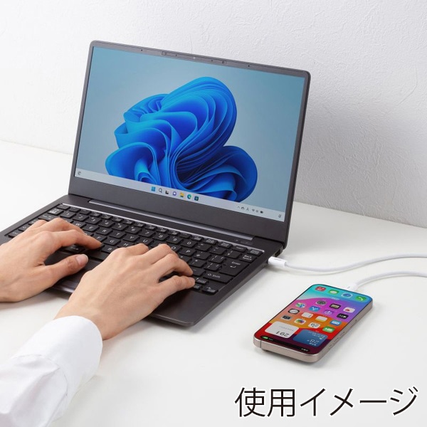 サンワサプライ USB Type-C シリコンメッシュケーブル 2m ホワイト KU-CCP60SM20W 1個（ご注文単位1個）【直送品】