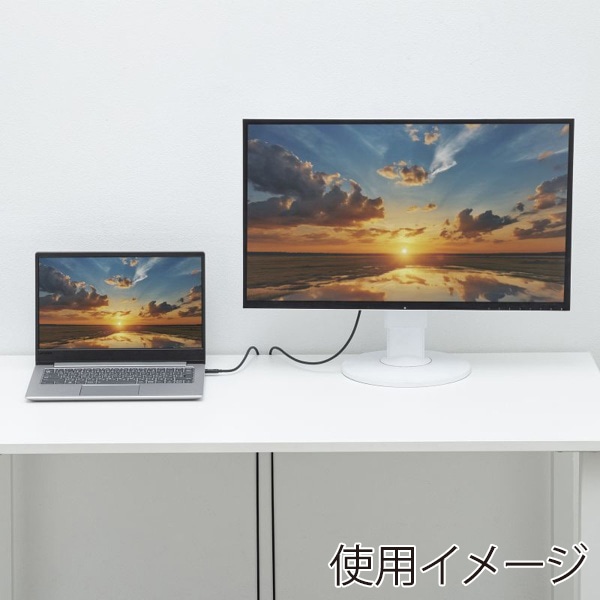 サンワサプライ TypeC-HDMI 変換ケーブル 8K対応 5m KC-ALCHD8K50 1個（ご注文単位1個）【直送品】