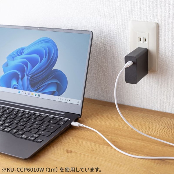 サンワサプライ USB2.0 Type-Cケーブル PD60対応 0.5m ホワイト KU-CCP6005W 1個（ご注文単位1個）【直送品】