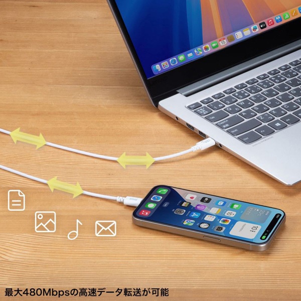 サンワサプライ USB2.0 Type-Cケーブル PD60対応 1m ホワイト KU-CCP6010W 1個（ご注文単位1個）【直送品】