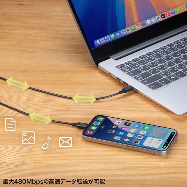 サンワサプライ USB2.0 Type-Cケーブル PD60対応 2m ブラック KU-CCP6020BK 1個（ご注文単位1個）【直送品】