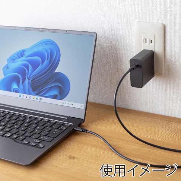 サンワサプライ USB2.0 Type-Cケーブル PD60対応 3m ブラック KU-CCP6030BK 1個（ご注文単位1個）【直送品】