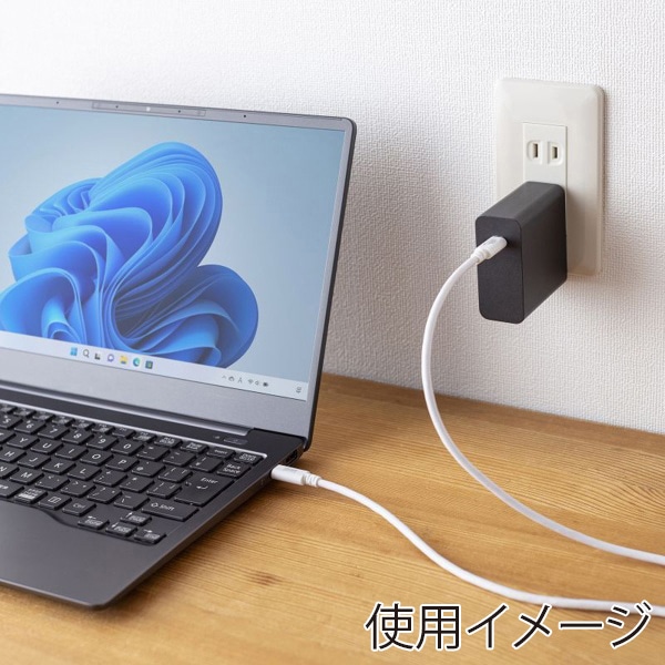 サンワサプライ USB2.0 Type-Cケーブル PD60対応 3m ホワイト KU-CCP6030W 1個（ご注文単位1個）【直送品】