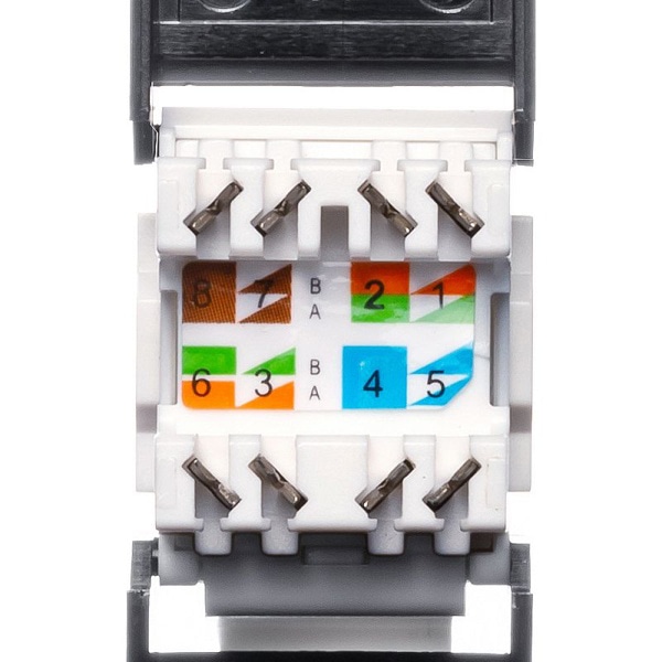 サンワサプライ ローゼットキット カテゴリ6A マグネット付き LA-RZ6A-1N 1個(ご注文単位1個)【直送品】