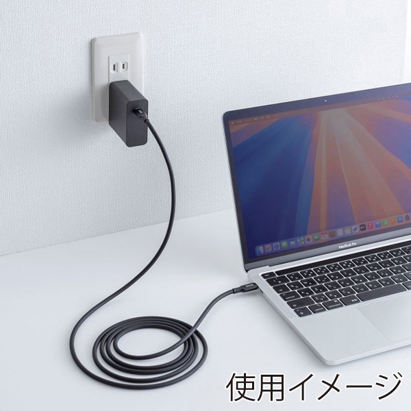 サンワサプライ USB2.0 Type-C シリコンケーブル 2m ブラック KU-CCPES20BK 1個（ご注文単位1個）【直送品】