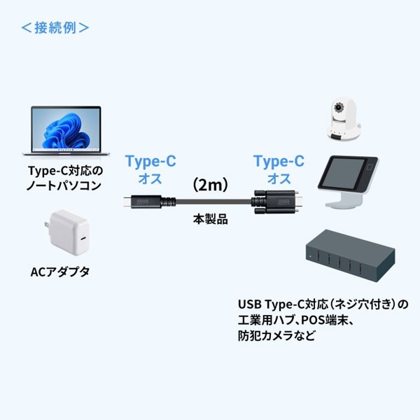 サンワサプライ USB Type-C 20Gbps対応ケーブル デュアルスクリューロック 2m KU-20GCCPEDSL20 1個（ご注文単位1個）【直送品】