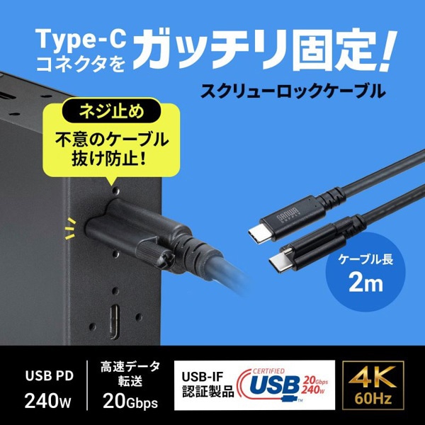 サンワサプライ USB Type-C 20Gbps対応ケーブル シングルスクリューロック 2m KU-20GCCPESSL20 1個（ご注文単位1個）【直送品】