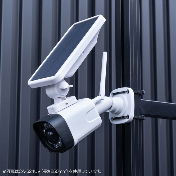 サンワサプライ 結束バンド 屋外用 耐候性 100×2.5mm 500本入 CA-621UV-500 1個（ご注文単位1個）【直送品】