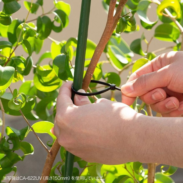 サンワサプライ 結束バンド 屋外用 耐候性 100×2.5mm 500本入 CA-621UV-500 1個（ご注文単位1個）【直送品】