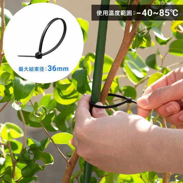 サンワサプライ 結束バンド 屋外用 耐候性 150×3.6mm 50本入 CA-622UV 1個（ご注文単位1個）【直送品】