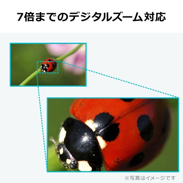 サンワサプライ USB書画カメラ CMS-V46W 1個（ご注文単位1個）【直送品】