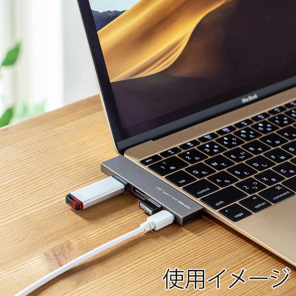 サンワサプライ USB Type-C コンボスリムハブ USB-3TCH21SN 1個（ご注文単位1個）【直送品】