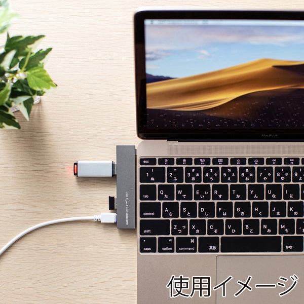 サンワサプライ USB Type-C コンボスリムハブ USB-3TCH21SN 1個（ご注文単位1個）【直送品】