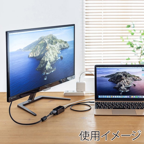 サンワサプライ USB Type-C HDMI変換アダプタ ハブ付き USB-3TCH35BK 1個（ご注文単位1個）【直送品】