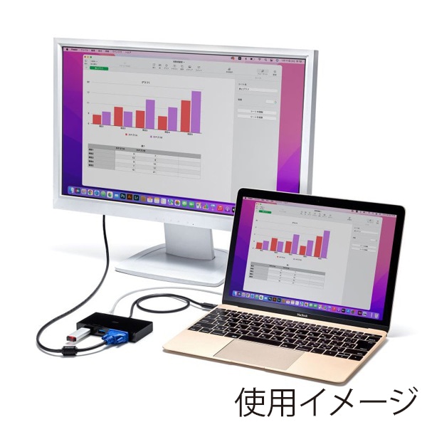 サンワサプライ VGA付き USB Type-Cハブ USB-3TCV1BK 1個(ご注文単位1個)【直送品】