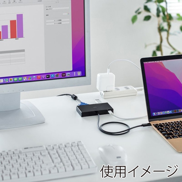 サンワサプライ VGA付き USB Type-Cハブ USB-3TCV1BK 1個(ご注文単位1個)【直送品】