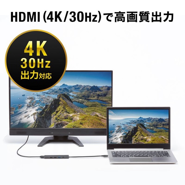 サンワサプライ USB Type-C ハブ HDMIポート付き USB-5TCH15BK 1個（ご注文単位1個）【直送品】