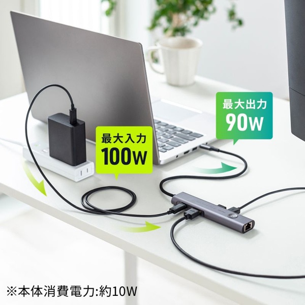 サンワサプライ USB Type-C ドッキングハブ USB-5TCHLP16GM 1個（ご注文単位1個）【直送品】