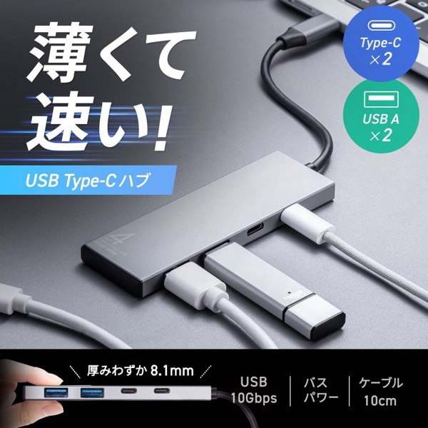 サンワサプライ USB Type-Cハブ USB10Gbps対応 USB-A×2／Type-C×2ポート USB-10TC14SV 1個（ご注文単位1個）【直送品】