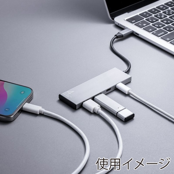 サンワサプライ USB Type-Cハブ USB10Gbps対応 USB-A×2／Type-C×2ポート USB-10TC14SV 1個（ご注文単位1個）【直送品】