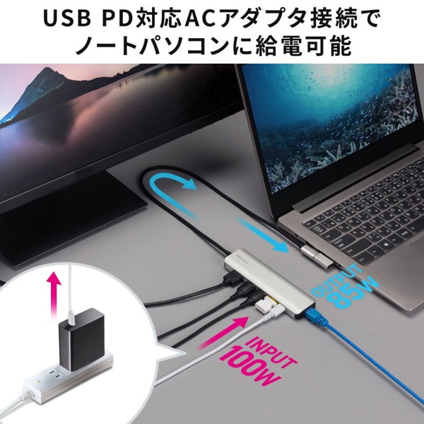 サンワサプライ USB Type-C ドッキングステーション 8K出力対応 USB-DKM9S 1個（ご注文単位1個）【直送品】