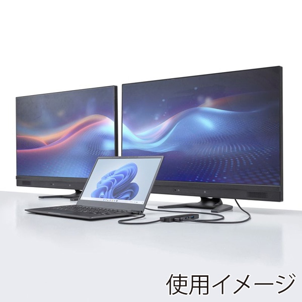 サンワサプライ USB Type-C ドッキングステーション USB-5TCHHPS22BK 1個（ご注文単位1個）【直送品】