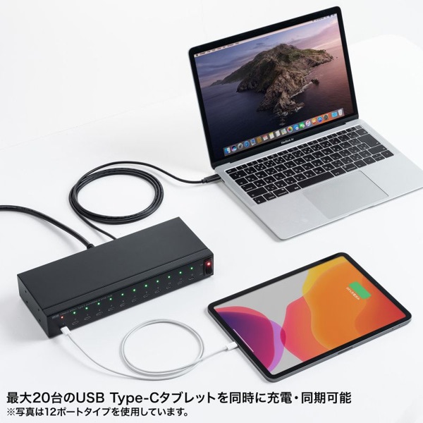 サンワサプライ USB2.0／Type-Cハブ 20ポート USB-2THCS20N 1個（ご注文単位1個）【直送品】