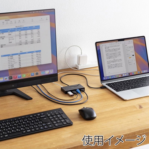 サンワサプライ USB Type-C ドッキングステーション USB-A×2ポート付き USB-DKM10BK 1個（ご注文単位1個）【直送品】
