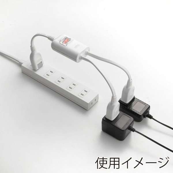 サンワサプライ 一括集中スイッチ付き電源延長コード 2分岐 2P 2個口 ホワイト TAP-EX2SWW 1個（ご注文単位1個）【直送品】