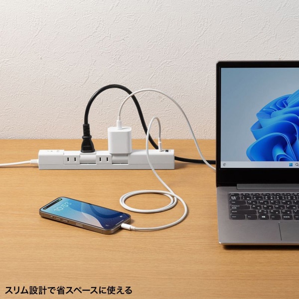 サンワサプライ 回転タップ AC4個口／Type-C／USB-A ホワイト TAP-B113UC-2W 1個（ご注文単位1個）【直送品】
