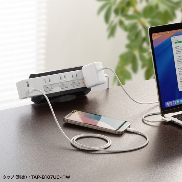 サンワサプライ 電源タップ回転型固定ホルダー デスククランプ式 ブラック TAP-CLAMP1BK 1個（ご注文単位1個）【直送品】