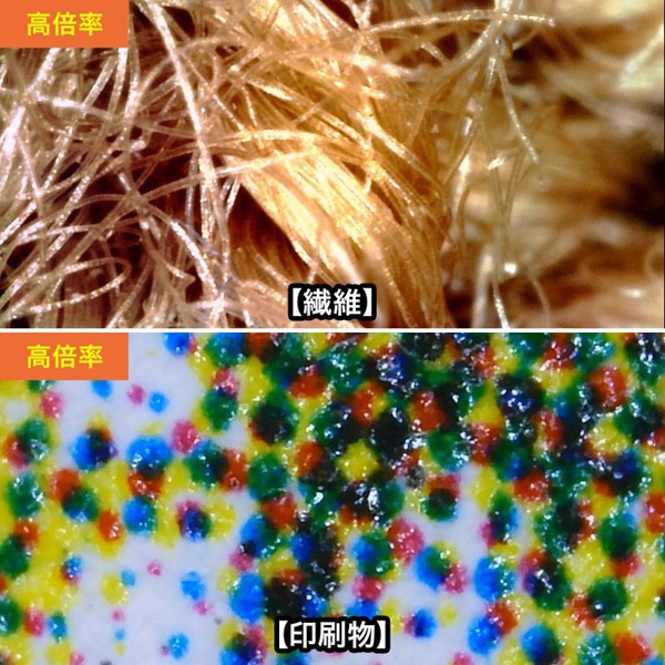 サンワサプライ USB顕微鏡 フルHD対応 LPE-08BK 1個（ご注文単位1個）【直送品】