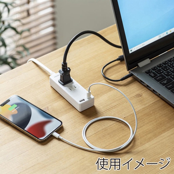 サンワサプライ USB充電機能付きタップ Type-C搭載 2P 2個口 2m TAP-B101UC-2W 1個（ご注文単位1個）【直送品】