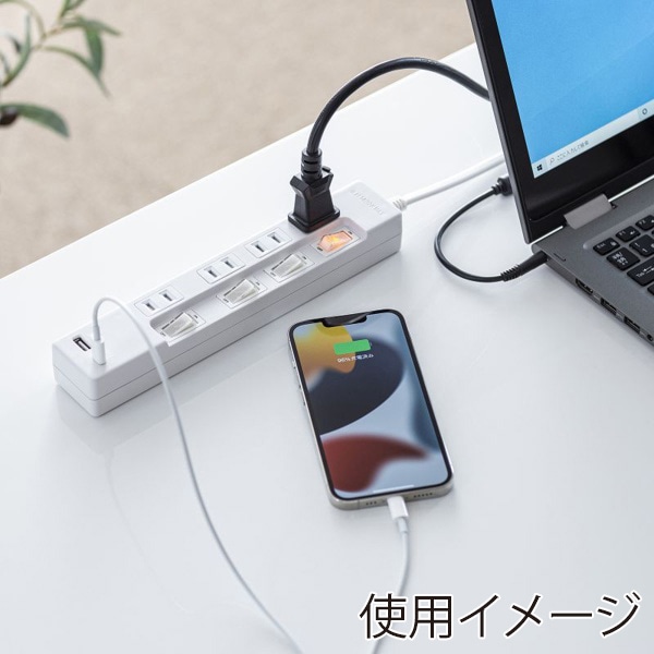 サンワサプライ USB充電機能付きタップ Type-C搭載 2P 4個口 2m TAP-B102UC-2W 1個（ご注文単位1個）【直送品】