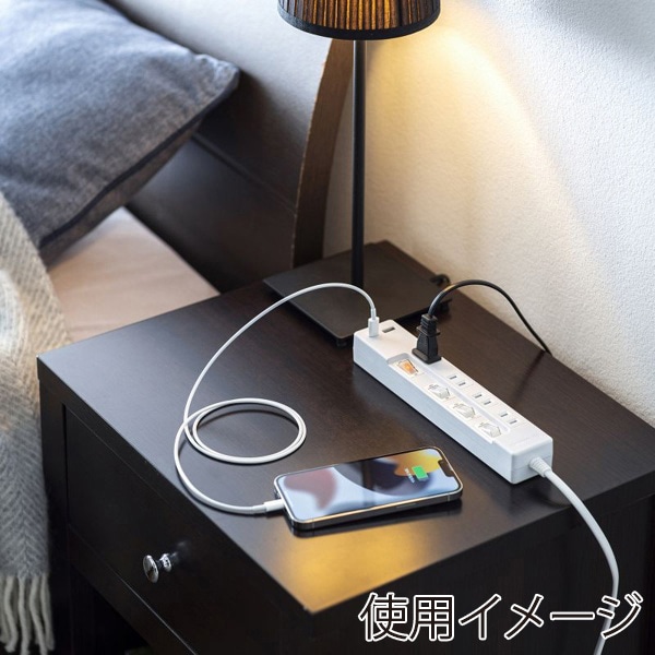 サンワサプライ USB充電機能付きタップ Type-C搭載 2P 4個口 2m TAP-B102UC-2W 1個（ご注文単位1個）【直送品】