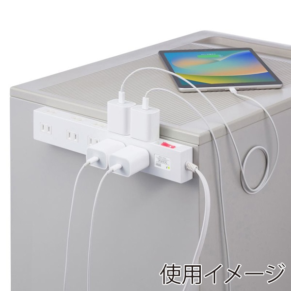 サンワサプライ 雷ガードタップ 10個口・1m・ホワイト TAP-SP2110N-1W 1個（ご注文単位1個）【直送品】