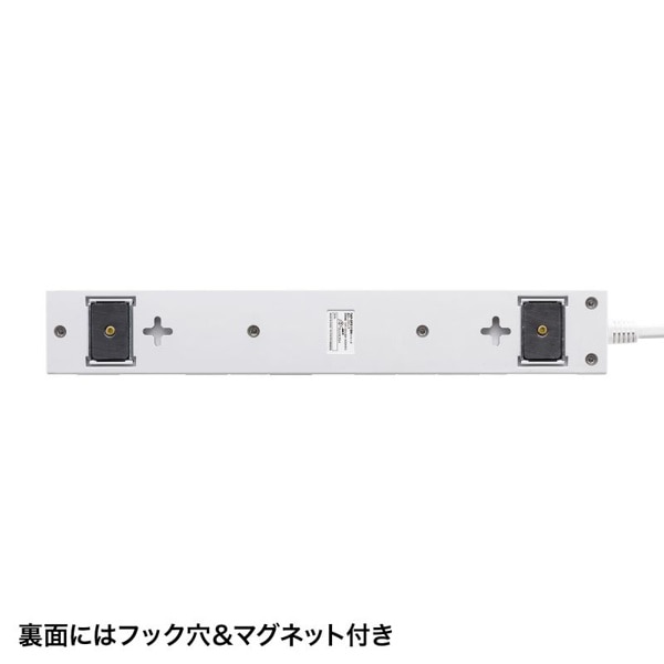 サンワサプライ 雷ガードタップ 10個口・1m・ホワイト TAP-SP2110N-1W 1個（ご注文単位1個）【直送品】