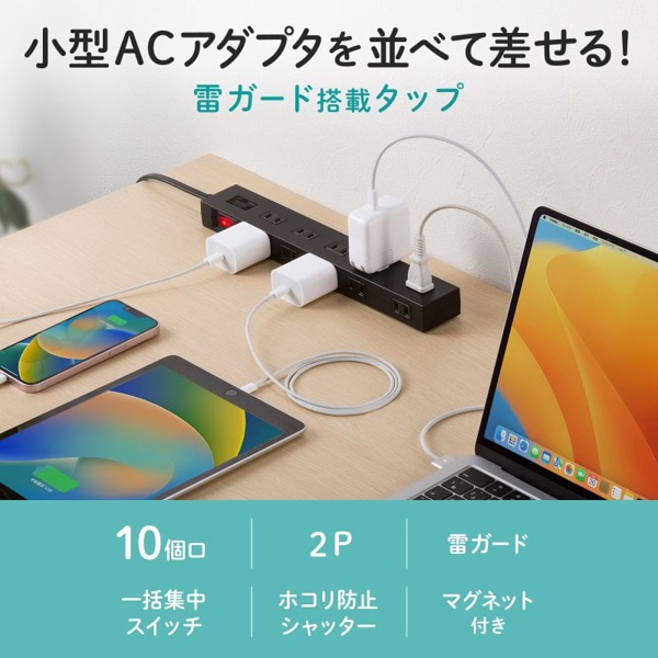 サンワサプライ 雷ガードタップ 10個口・1m・ブラック TAP-SP2110N-1BK 1個（ご注文単位1個）【直送品】