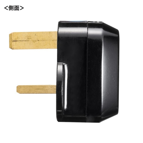 サンワサプライ 海外用プラグ変換アダプタ BFタイプ TR-AD20 1個（ご注文単位1個）【直送品】