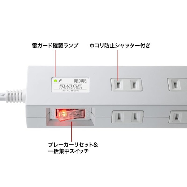 サンワサプライ 電源タップ USB充電機能付き 10個口・1m・ホワイト TAP-SP2110NUC-1W 1個（ご注文単位1個）【直送品】