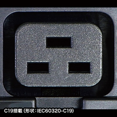 サンワサプライ 19インチサーバーラック用コンセント200V 200V・20A・20個口・3m TAP-SV22020C19 1個（ご注文単位1個）【直送品】