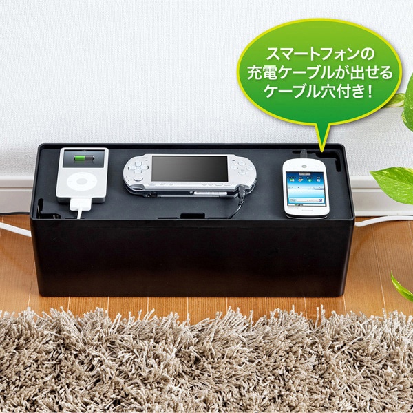 サンワサプライ ケーブル&タップ収納ボックス Lサイズ ブラック CB-BOXP3BKN2 1個（ご注文単位1個）【直送品】