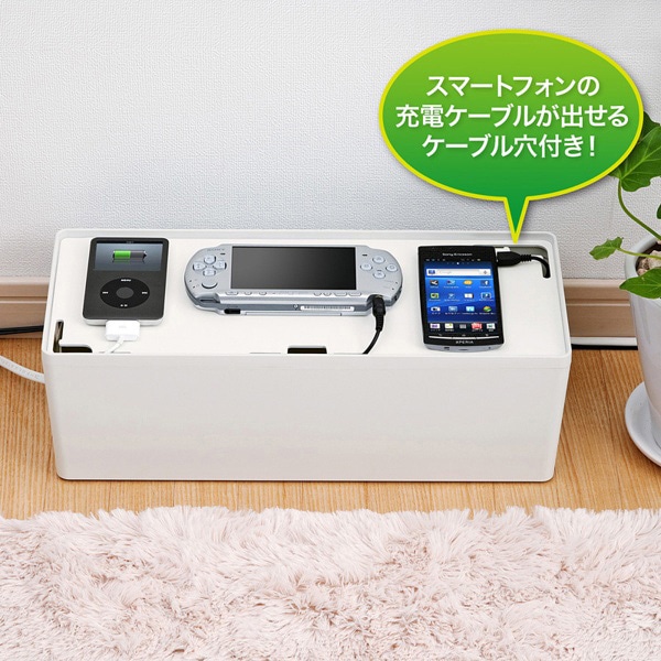 サンワサプライ ケーブル&タップ収納ボックス Lサイズ ホワイト CB-BOXP3WN2 1個（ご注文単位1個）【直送品】