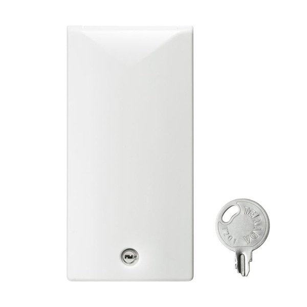 サンワサプライ セキュリティスリムコンセントカバー 鍵付き TAP-KJCV1 1個（ご注文単位1個）【直送品】